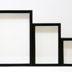 Empty Display Case with Glass Lid, Entomology Insect Display Box for Pinned Bugs & Butterflies