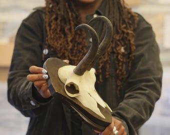 Vintage Chamois Skull mounted on wooden shield (Rupicapra rupicapra) non-CITES species