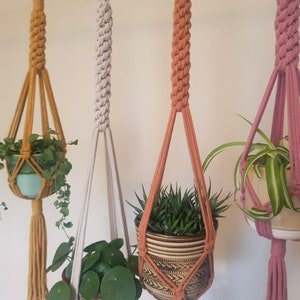 Può includere: Tre portavasi in macramè con cordini e nappe di diversi colori. I portavasi tengono piante in vaso. Le piante sono una succulenta, una pianta ricadente e una pianta a foglie rotonde.