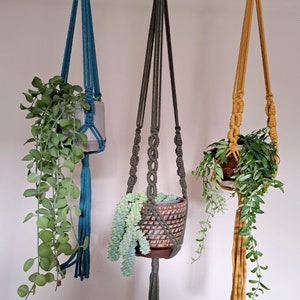 May include: Three macrame plant hangers in teal, olive green, and mustard yellow. Each hanger suspends a different potted plant. The teal hanger holds a clear glass pot, the olive green a patterned ceramic pot, and the yellow a woven pot. The plants have trailing green foliage.