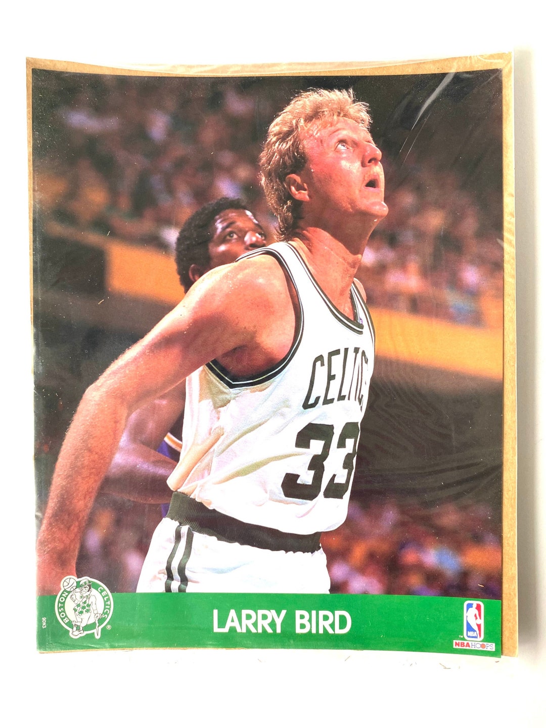 Boston Celtics Larry Bird Takes a Shot In The Boston Garden 8x10 Color  Photo Picture at 's Sports Collectibles Store
