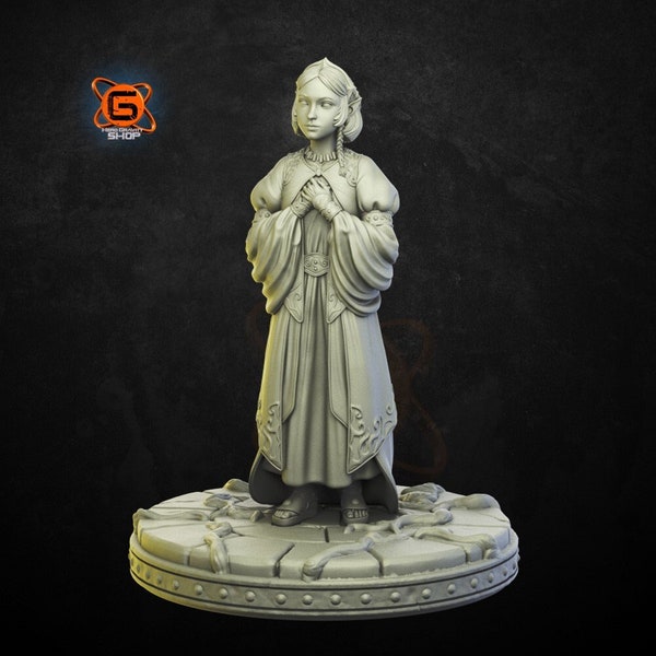 Enora Princess by Primal Collectibles DnD 3D printed tabletop model