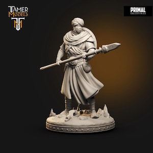 Arabian Army - Hakim Primal Collectibles DnD 3D printed tabletop model