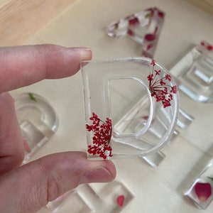 May include: Clear resin letter D with dried red flowers pressed inside. The letter is part of a set of letters that spell out the word "DAD".