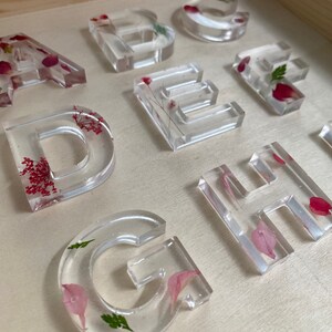 May include: Clear resin alphabet letters with pressed flowers and leaves inside. The letters are A, B, C, D, E, F, G, H.