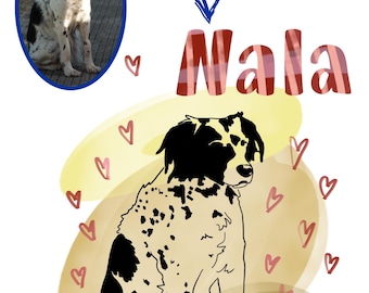 Custom Pet Portrait from Photo – Minimalist Line Art Illustration | Dogs, Cats, Animals | Digital Print