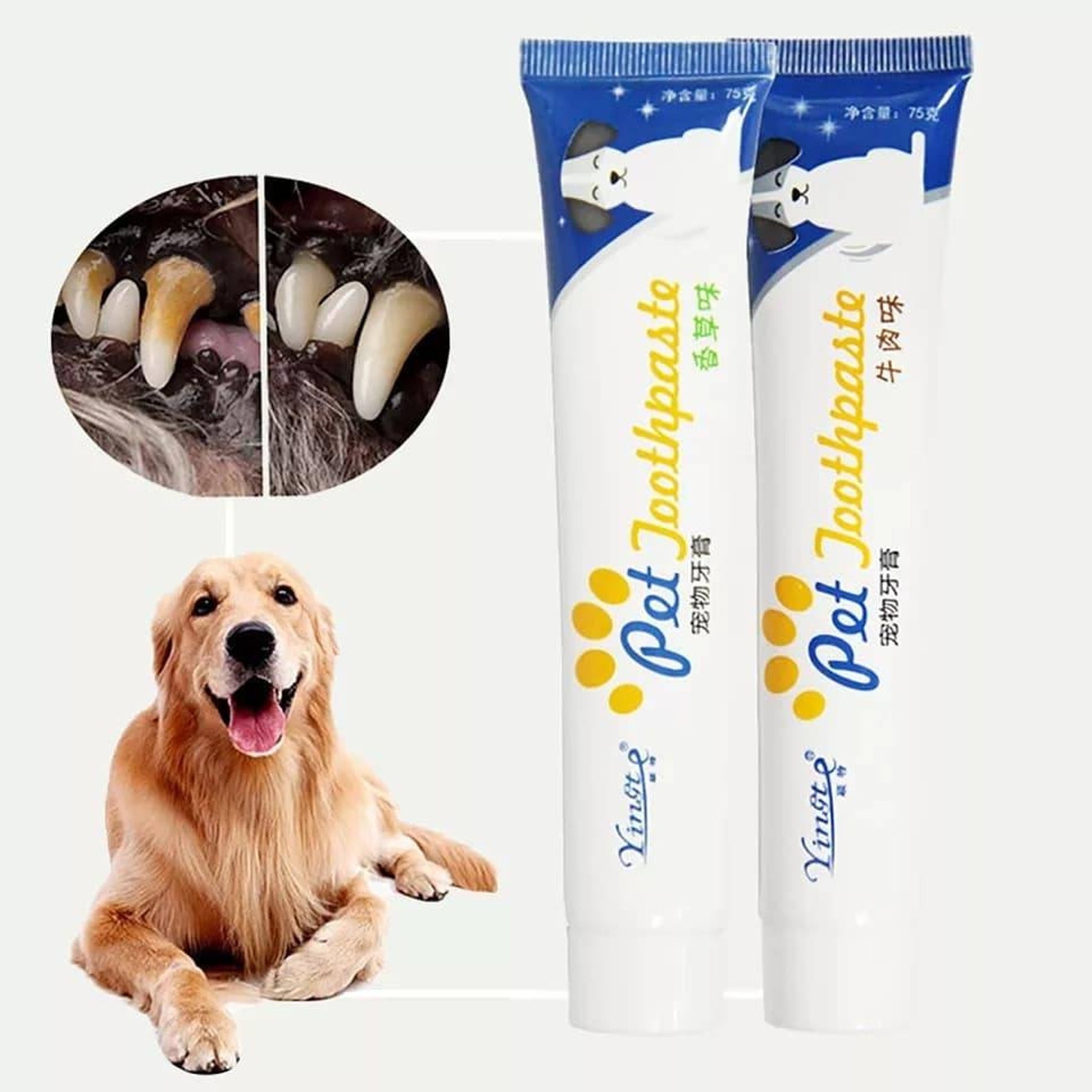 Dog Healthy Dental Dog Toothpaste Pet Oral Care Puppy Care Etsy