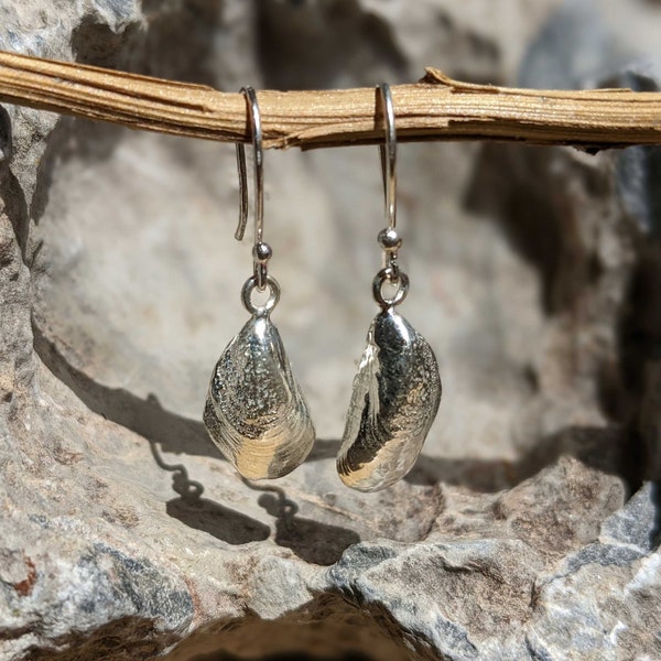 Boucles d’oreilles en coquille de moule, boucles d’oreilles en coquille de mer de Cornouailles, bijoux en coquille de mer argentée, boucles d’oreilles en coquille pendante, bijoux faits à la main, cadeaux pour femmes