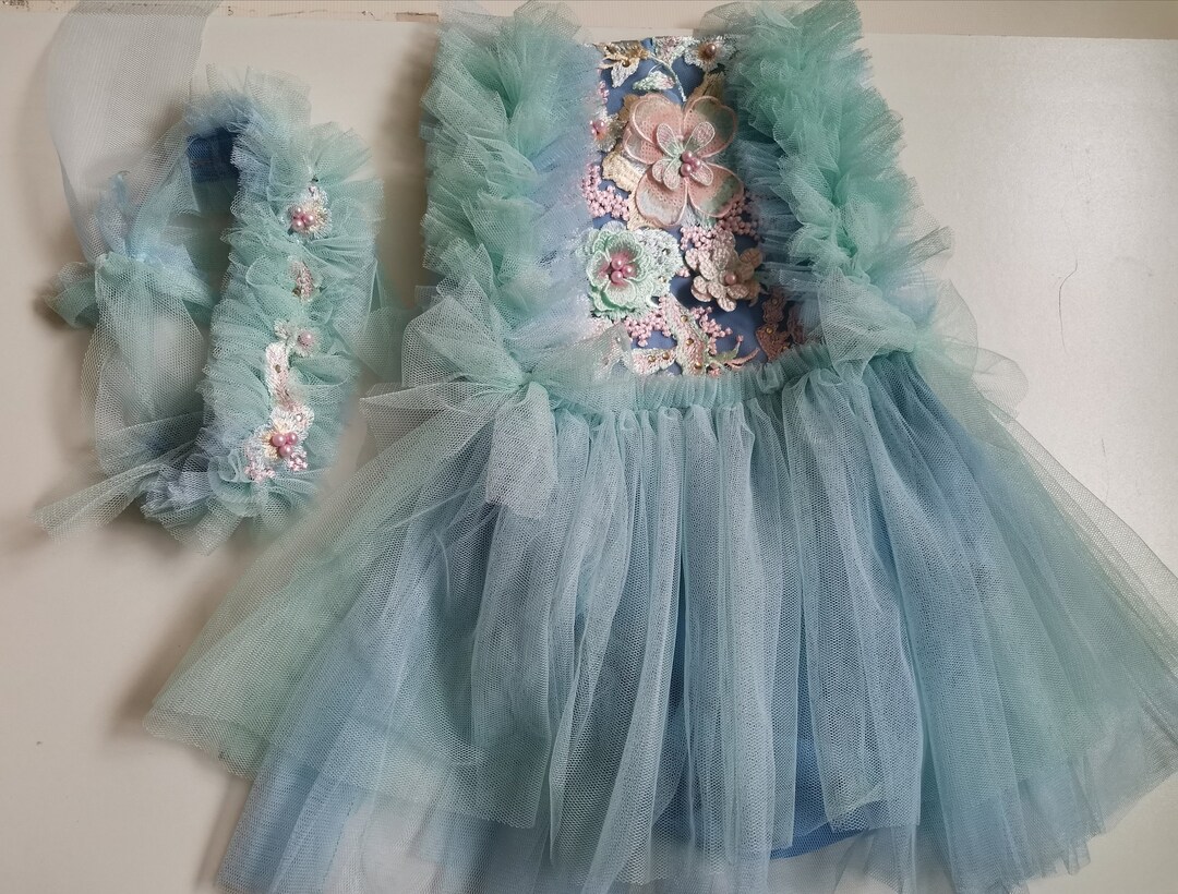 Outfit for a Girl. Blue Color With Aquamarine and Blue Tulle. A