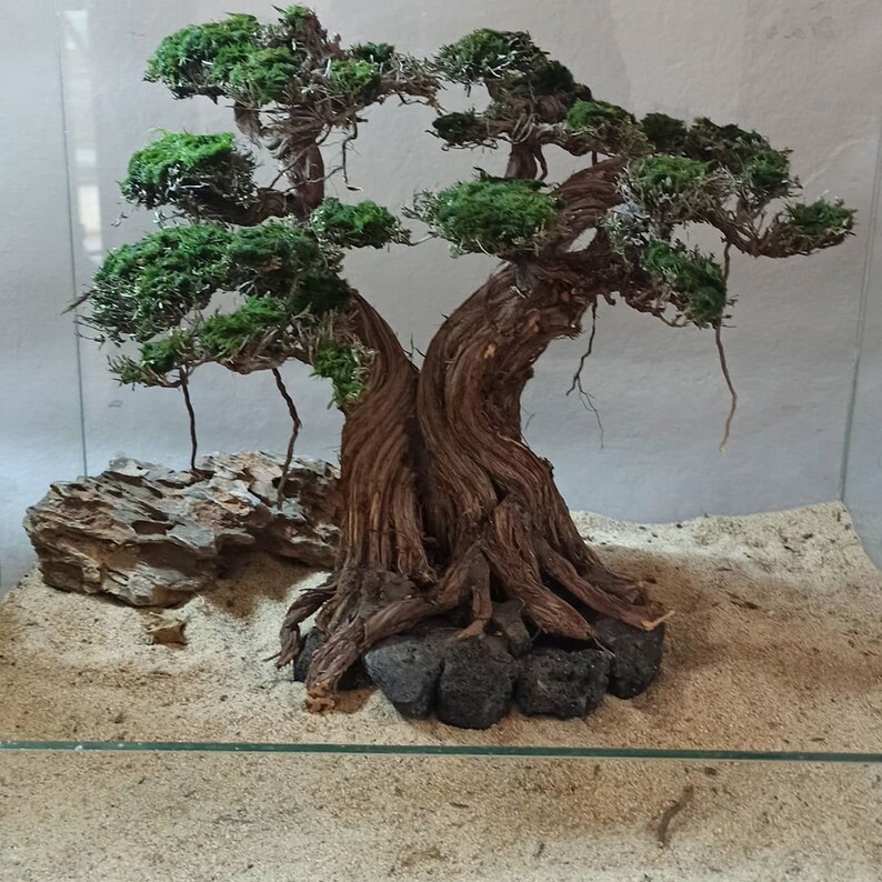 Aquarium bonsai driftwood moss tree bonsai moss tree | Etsy