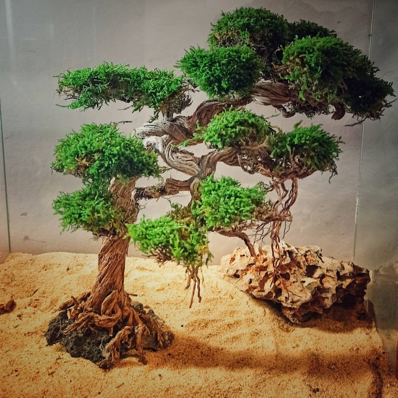 Aquarium moss tree Bonsai Driftwood bonsai bonsai tree