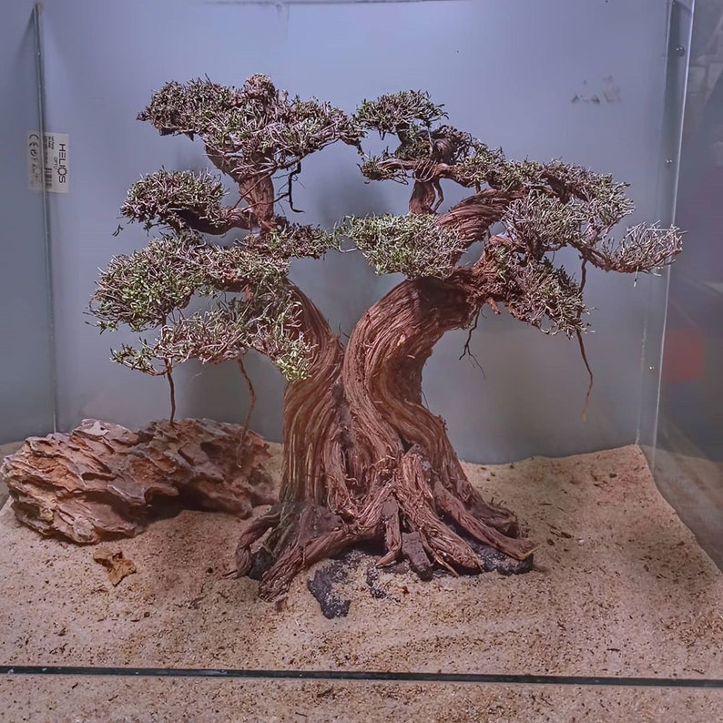 Aquarium bonsai driftwood moss tree bonsai moss tree Etsy