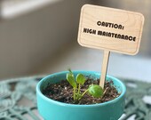 Plant Marker, Pilea Plant Sign, Caution High Maintenance, Gardener Gift, Boho Plant Sign, Herb Marker, Boho Wedding Favor, Money Plant Sign