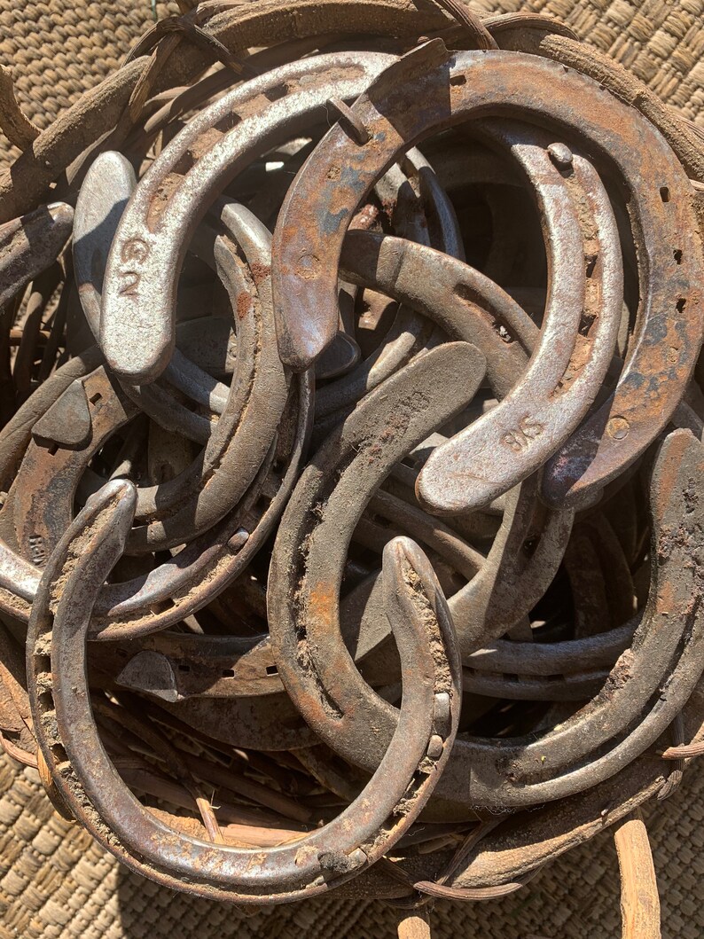 Used Rusty Horse Shoe Single Used Horseshoe for Crafts Real Etsy
