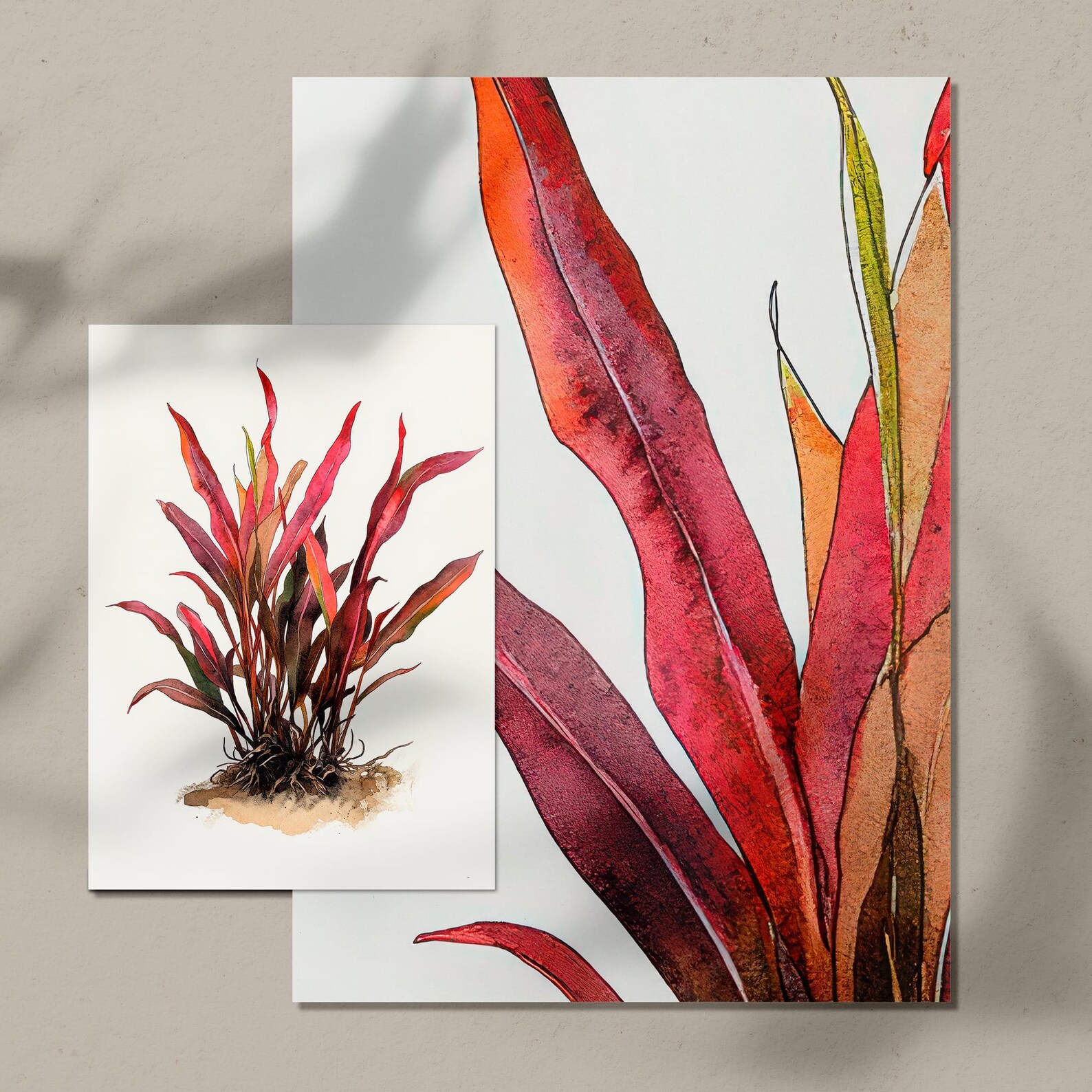 Cryptocoryne Spiralis Red Digital Illustration - Aquatic Plant Art - Etsy