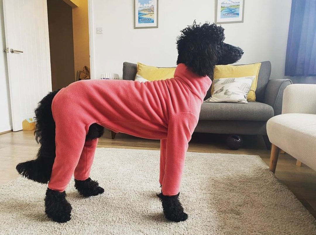 Fleece Dog Suit / 4 Leg / Walkies / Waterproof / Made to Measure / Small to Large Dogs Etsy