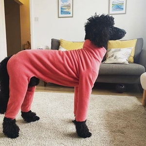 Fleece dog suit / 4 leg / walkies / waterproof / made to measure / small to large dogs