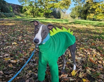 Sighthound build a dino / Made to measure waterproof dog / pet fleece - 30 colours