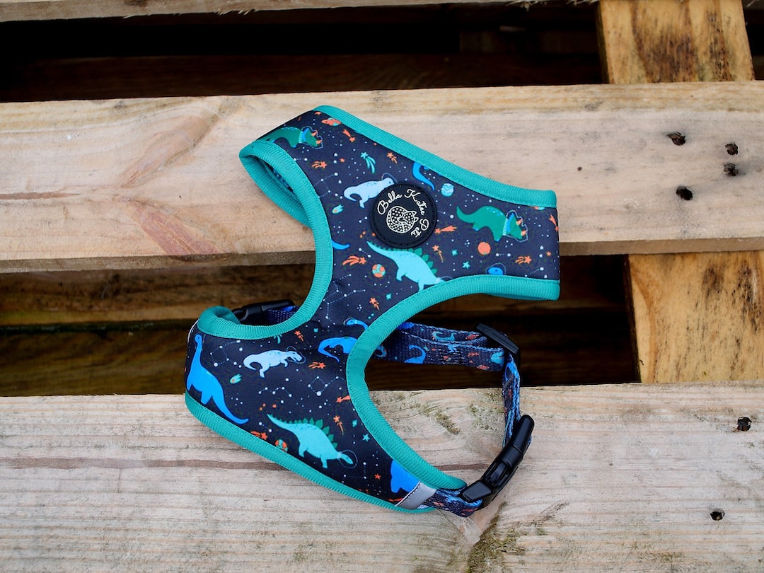 Galactasauras Reversible Dog Harness / Dinosaurs in Space / Blue Etsy UK