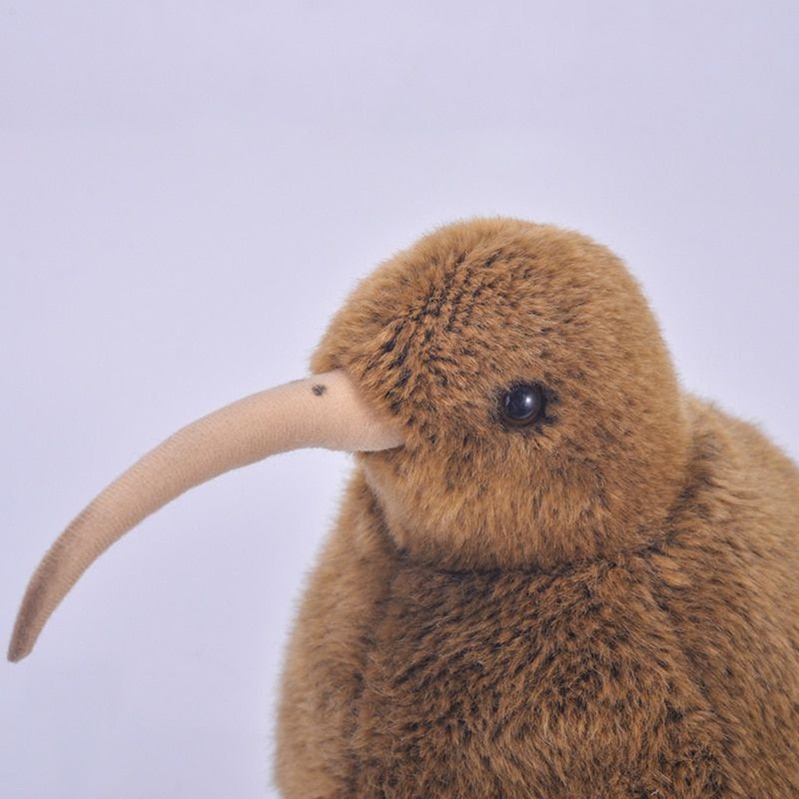 矢量新西兰插图与几维鸟插画图片素材_ID:330017526-Veer图库