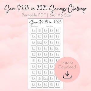 Save 225 in 2025 Savings Challenge Printable, 2025 Savings Challenge Printable, Money Challenge, A6 3x6 saving tracker, low income savings