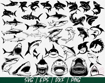 Free Free 89 Shark Tank Logo Svg SVG PNG EPS DXF File