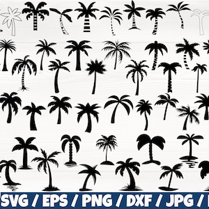 May include: A set of 40 black and white palm tree silhouette illustrations. The palm trees are in various styles and sizes, with some having trunks and others without. The illustrations are perfect for use in crafting projects, scrapbooking, or digital design.