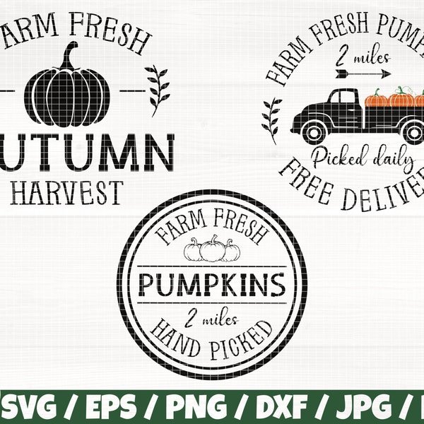 Farm Fresh Pumpkins x3 Svg/Eps/Png/Dxf/Jpg/Pdf, Autumn Harvest Svg, Pumpkins 2 Miles Hand Picked Svg,Fresh Pumpkins Free Delivery Commercial