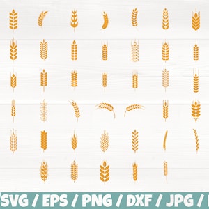 Trigo x50 BUNDLE Svg/Eps/Png/Dxf/Jpg/pdf, Clipart de trigo, Grano Svg, Silueta de trigo, Icono de trigo, Comercial de trigo, Cereal svg, Cricut de trigo
