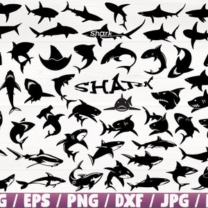 Shark x50 BUNDLE Svg/Eps/Png/Dxf/Jpg/Pdf, Shark Svg, Shark Cricut, Shark Clipart, Shark Silhouette, Shark Fish Cricut, Shark Commercial Use
