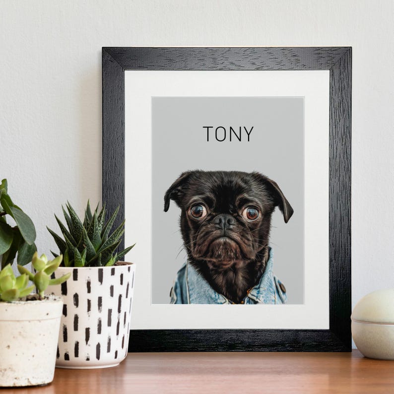 A custom artwork of Tony the pug dog. Featuring a close-up image of a funny black pug, with wide eyes set against a light grey background. Tony has a poised expression and little denim jacket add a touch of personality and charm to the portrait.