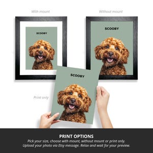 May include: A framed photo of a brown dog with the name "SCOOBY" printed on a green background. The photo is shown with and without a black frame and a white mat. The photo is also shown as a print only.