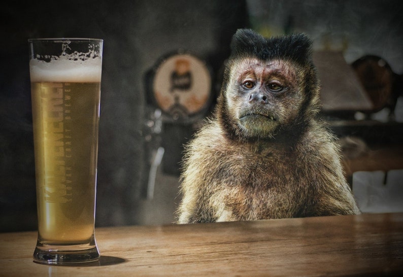 Drunk monkey art with a variety of sizes you'll love. Explore Now 画像 1