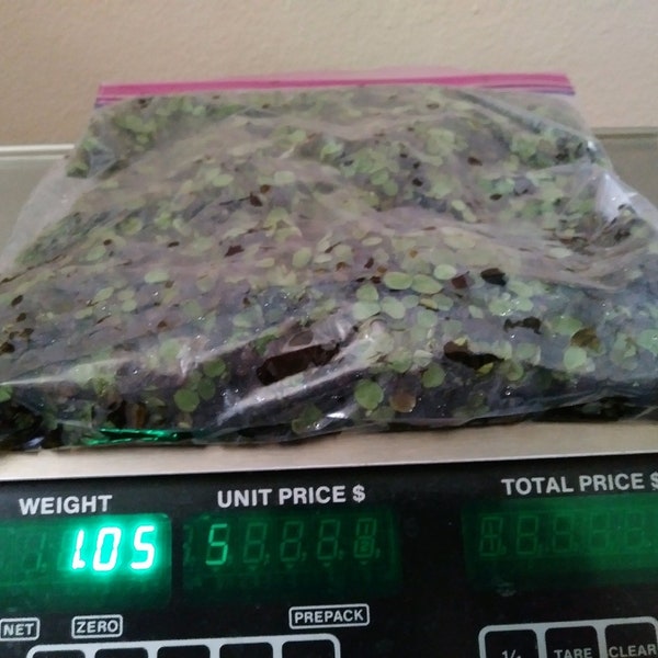 1 pound duckweed live plants for Tilapia food aquaponics