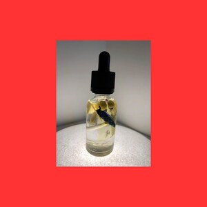 Come To Me Oil Love Engagement Verführung Romantik Hoodoo Voodoo Wiccan Pagan
