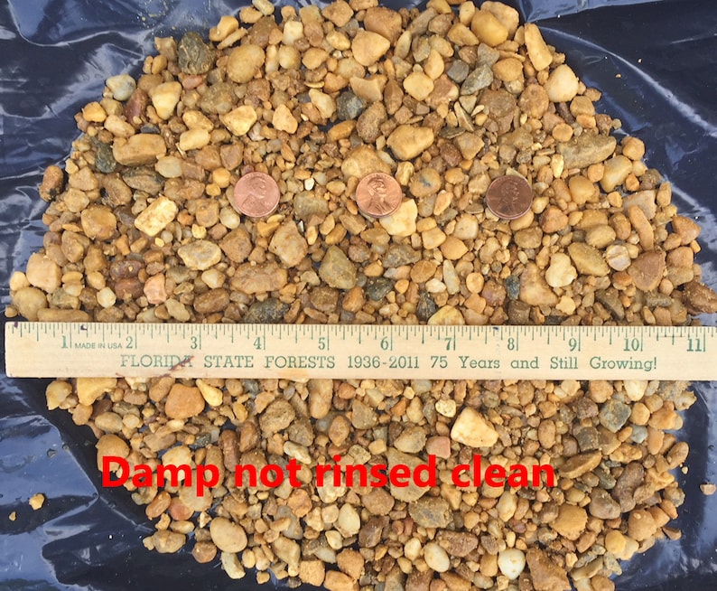 Aquarium Natural River Gravel Sand for Fish Tank Pond 10 Etsy