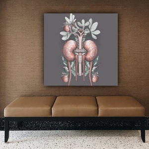Kidney Anatomy Canvas Prints, Medical Doctors Office Art, Kidney Anatomy Art, Nephrologist Gift, Kidney Transplant Surgeon, Renal Surgeon