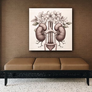 Kidney Anatomy Canvas Prints, Medical Doctors Office Art, Kidney Anatomy Art, Nephrologist Gift, Kidney Transplant Surgeon, Renal Surgeon