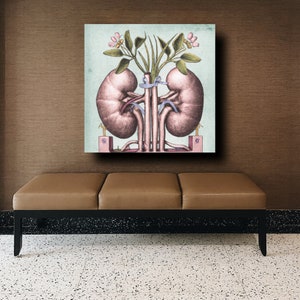 Kidney Anatomy Canvas Prints, Medical Doctors Office Art, Kidney Anatomy Art, Nephrologist Gift, Kidney Transplant Surgeon, Renal Surgeon