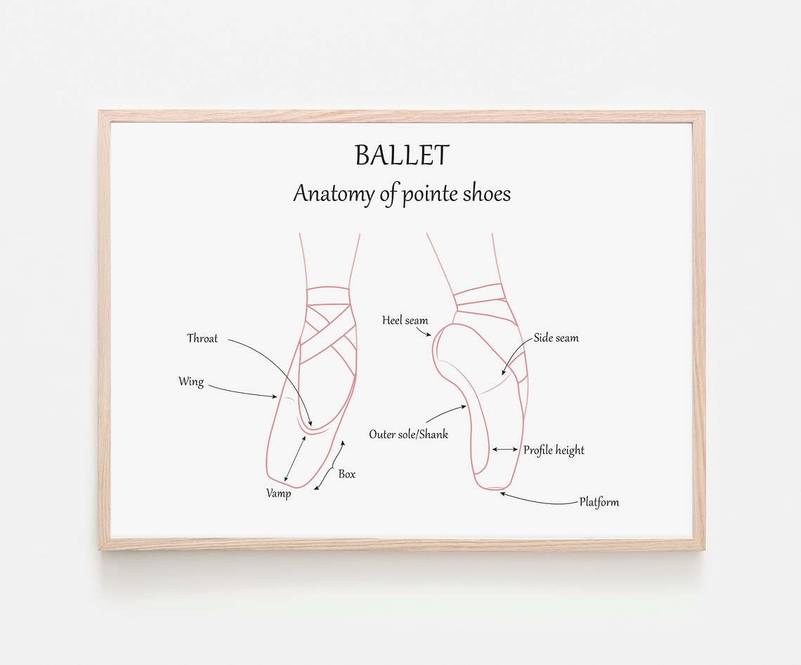 Anatomy of Pointe Shoes Digital Download Ballet Shoes - Etsy