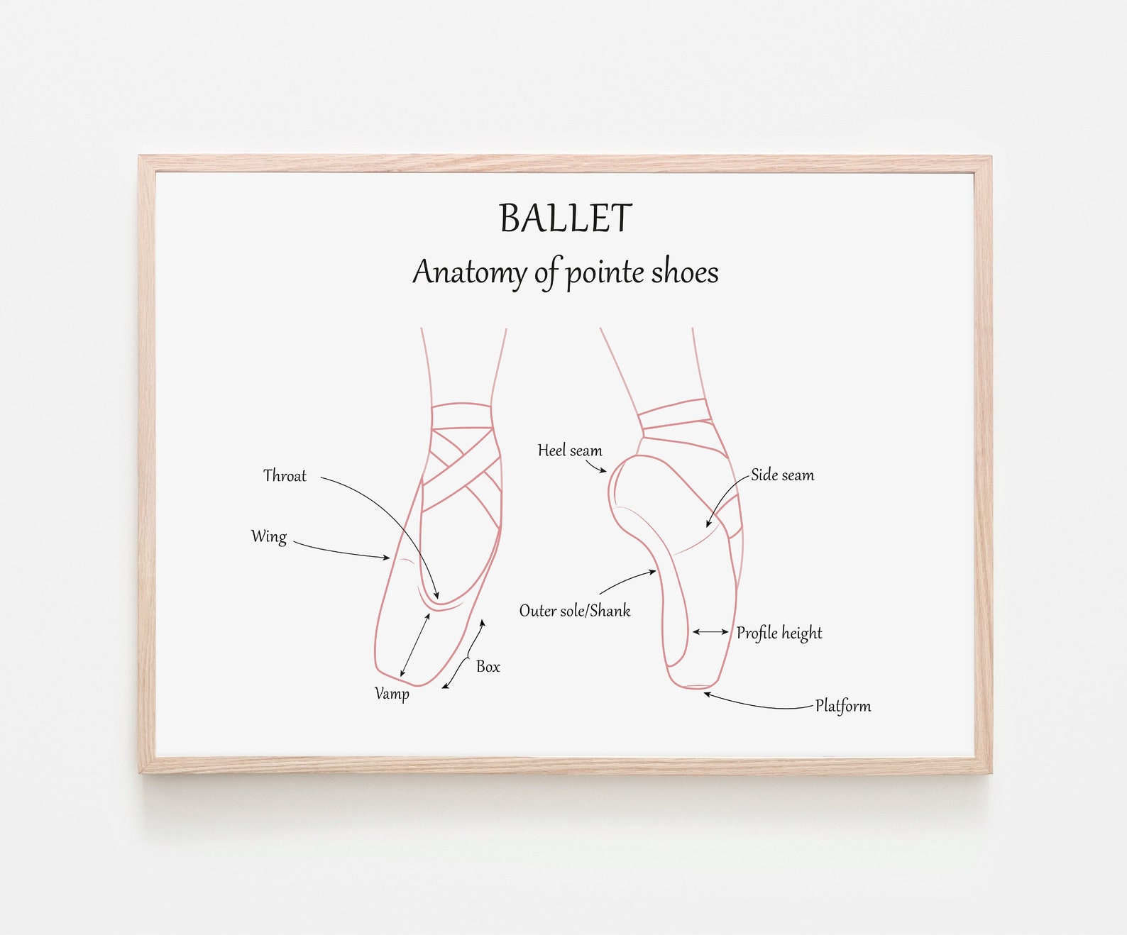 Anatomy of Pointe Shoes Digital Download Ballet Shoes Etsy Israel