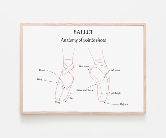 Anatomy of a Pointe Shoe — Ballet Fusion