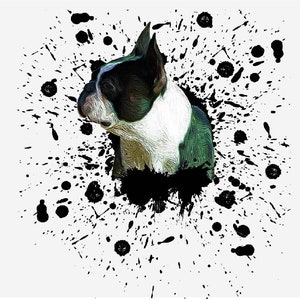 Terrier de Boston. aquarelle Boston Terrier png. Conception de sublimation de chien. graphiques de sublimation