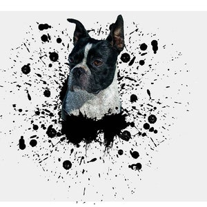 Terrier de Boston. aquarelle Boston Terrier png. Conception de sublimation de chien. graphiques de sublimation