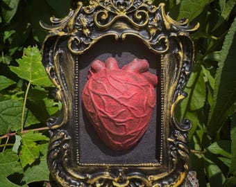 May include: A red anatomical heart sculpture in an ornate black and gold frame. The heart has detailed veins and a textured surface. The frame features intricate scrollwork and a vintage aesthetic, set against green foliage.