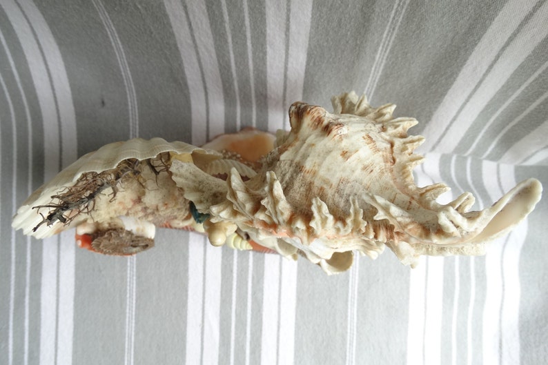 Sea Shell Shrine/virgin Mary Statue/shell Work Grotto/shell Art ...