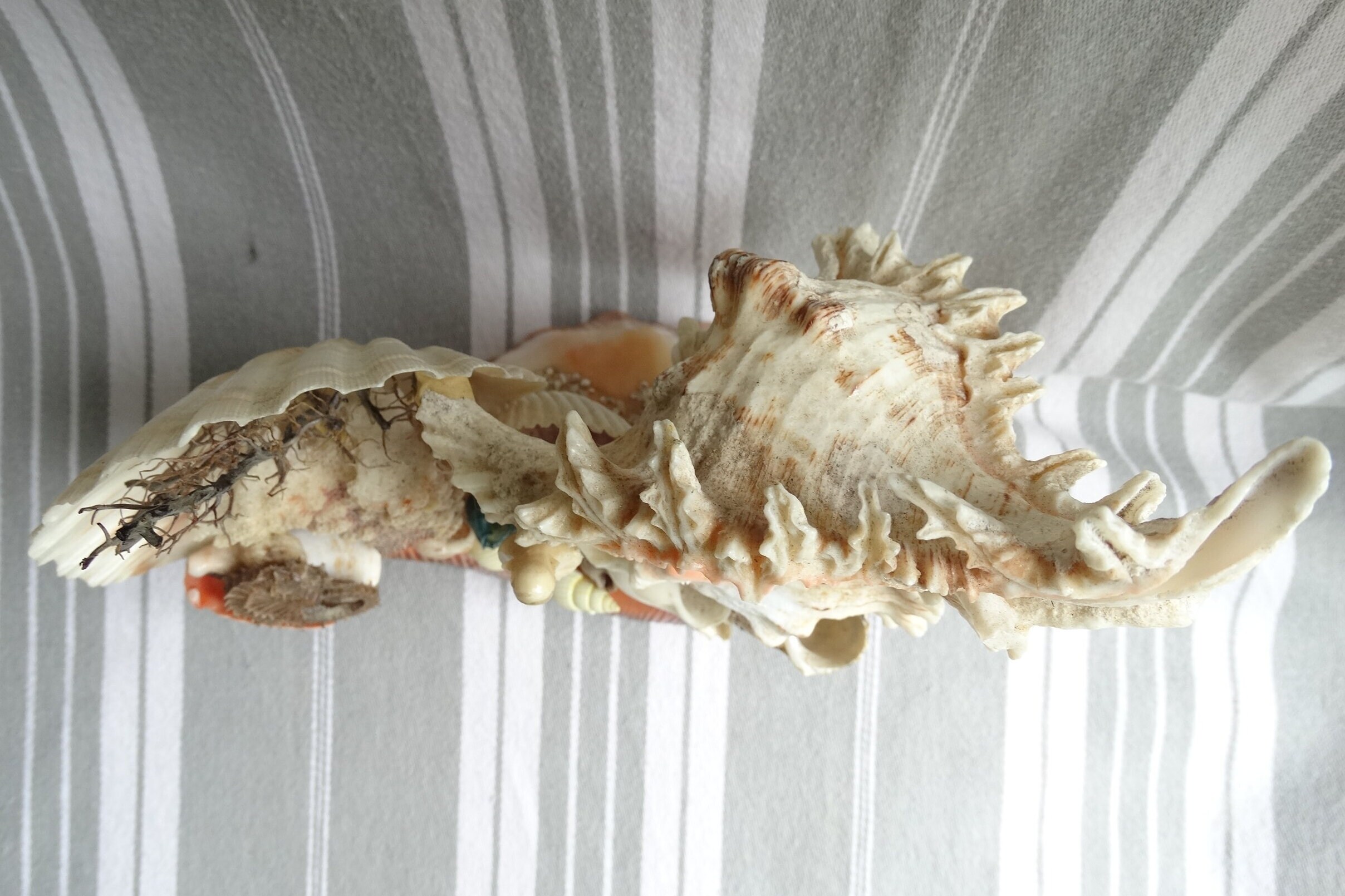 Virgin Mary Shell Sea Shell Shrine/virgin Mary Statue/shell Work Grotto/shell Art ...