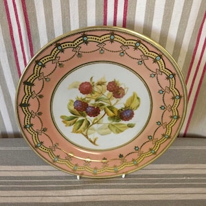 Plato de hojalata decorado de Worcester/Plato antiguo del museo Victoria & Albert/Diseño sobre porcelana de Worcester/Pieza de colección para vitrina/Decoración de pared