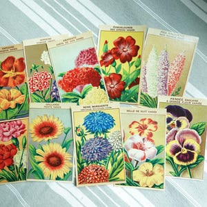 10 Etichette per bustine di semi/Etichette vintage francesi per fiori inutilizzate/Litografie floreali colorate/Giardinaggio/Scrapbooking/Effimere/Creazione di biglietti/Collage