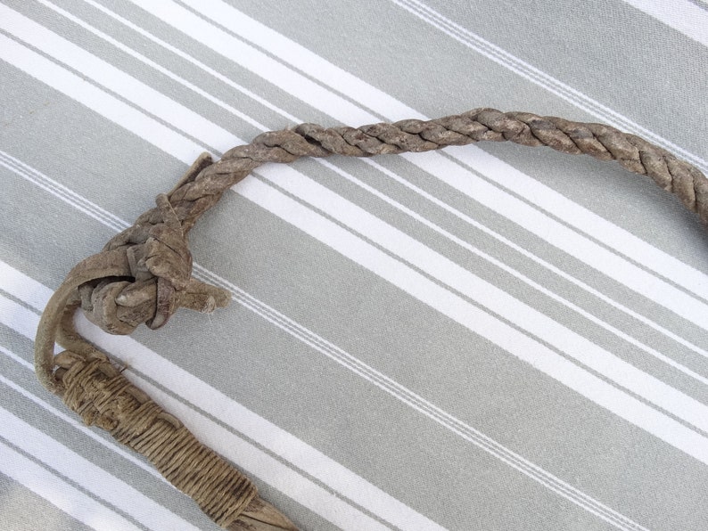 Redini A Canna In Nylon Intrecciato Showman, Estremità A Scatto A Forbice, Per Cavallo